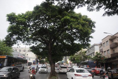 Bairros em BH passam por constante valoriza&ccedil;&atilde;o e expans&atilde;o. -  (crédito: Alexandre Guzanshe/EM/D.A. Press.)