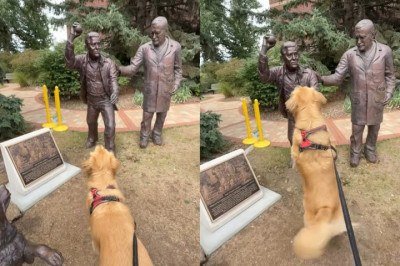 <p>Um golden retriever chamou a atenção da internet recentemente nos Estados Unidos graças a uma cena curiosa. Afinal, Leo, de três anos, viralizou ao interagir com uma estátua, que segurava uma bolinha, e ficar no aguardo de um arremesso. O caso se deu em Denver, no Colorado.</p>
 -  (crédito: Instagram/itstheleos)