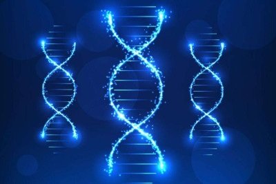 Como viver mais tempo: seus genes podem ter papel fundamental, dizem pesquisas -  (crédito: Portal Giro 10)