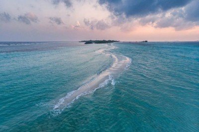 <p>Os bancos de areia surgem a partir do acúmulo gradual de sedimentos como areia, cascalho e partículas orgânicas transportadas por rios, correntes marítimas, ventos e ondas. </p>
 -  (crédito: Hu Chen/Unsplash)