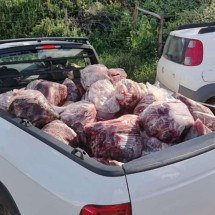Carnes apreendidas estavam acondicionadas em cinco freezers -  (crédito: PMMG)