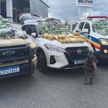 Suspeitos são presos com droga avaliada em R$ 4 milhões em MG - PMMG/Reprodução