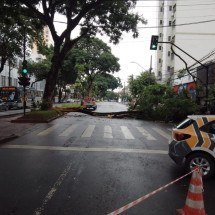 Quedas de árvores causam danos em bairros de BH nesta quinta-feira (5/2) - CBMMG