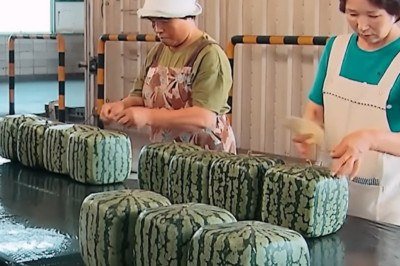 <p>No Japão, melancias quadradas passaram de solução prática para falta de espaço a artigos de luxo, muitas vezes vendidos por valores que ultrapassam R$ 1.000 nas lojas especializadas e como presentes sofisticados</p>
 -  (crédito: Reprodução de video Youtube)
