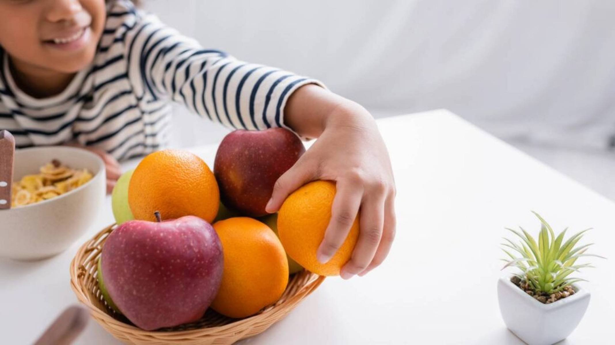 Quanto de fibra você precisa por dia? - Portal Giro 10