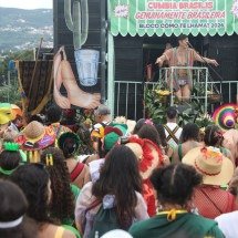 'Genuinamente brasileira': veja fotos do bloco Cómo te Lhama? - Marcos Vieira/EM/D.A Press