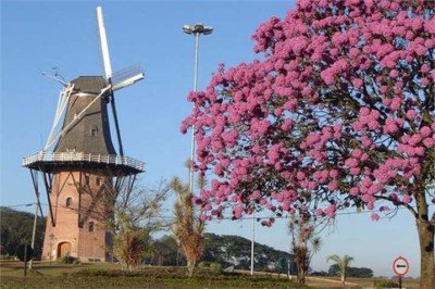 <p>Os moinhos são uma das instalações mais representativas da Holanda. Tanto que há mais de 950 dessas estruturas no país. Inicialmente foram projetados para moer grãos, mas ganharam outras funcionalidades como bombear água para fora dos lagos. Veja os principais moinhos da Holanda. </p>
 -  (crédito: Moinhospovosunidos.com.br)