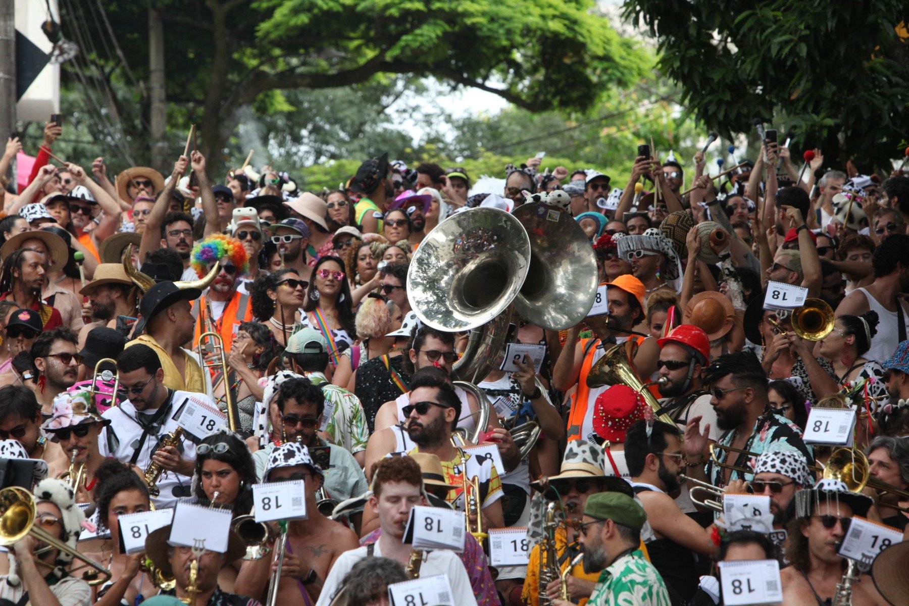 Bloco Mama na Vaca nas ruas do Bairro Santo Ant&ocirc;nio, em BH
      -Ed&eacute;sio Ferreira/EM/D.A Press