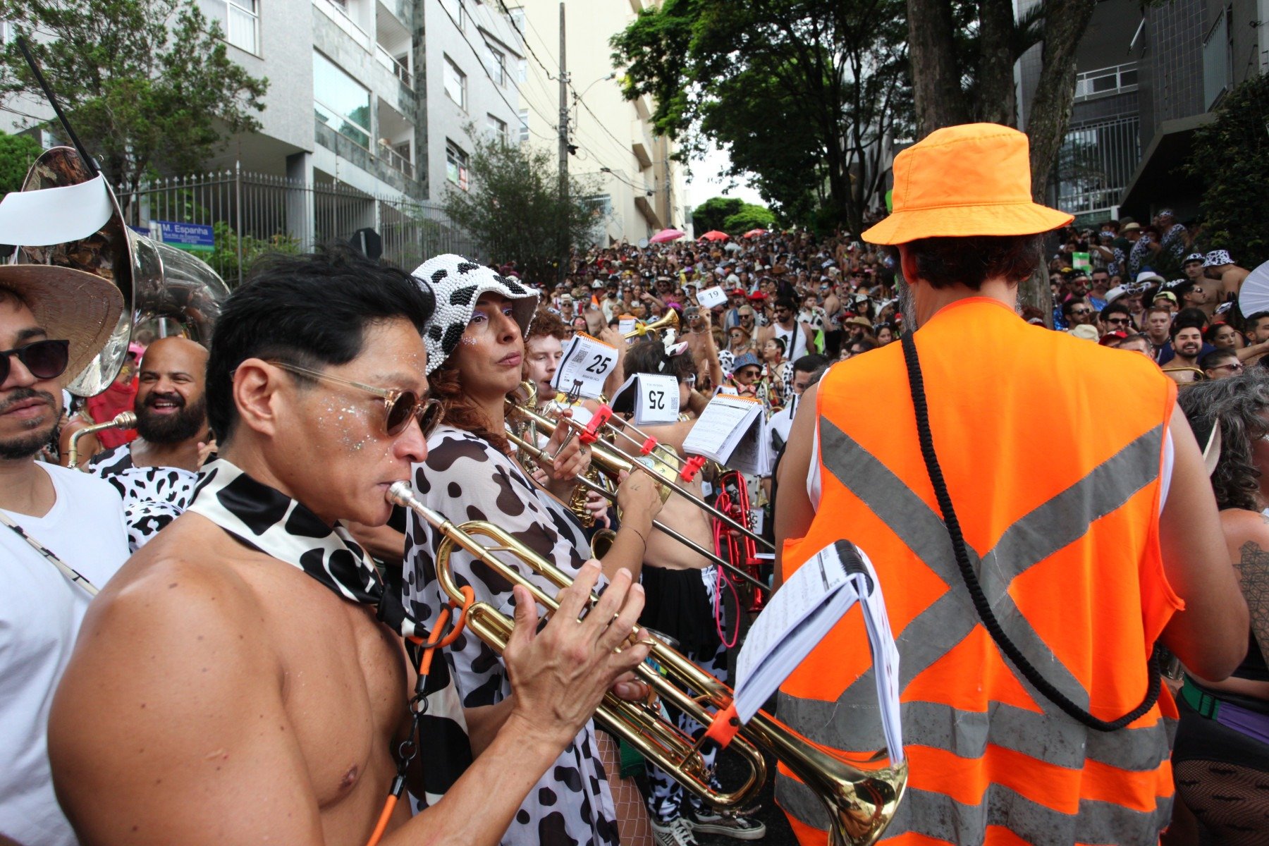 Bloco Mama na Vaca nas ruas do Bairro Santo Ant&ocirc;nio, em BH
      -Ed&eacute;sio Ferreira/EM/D.A Press