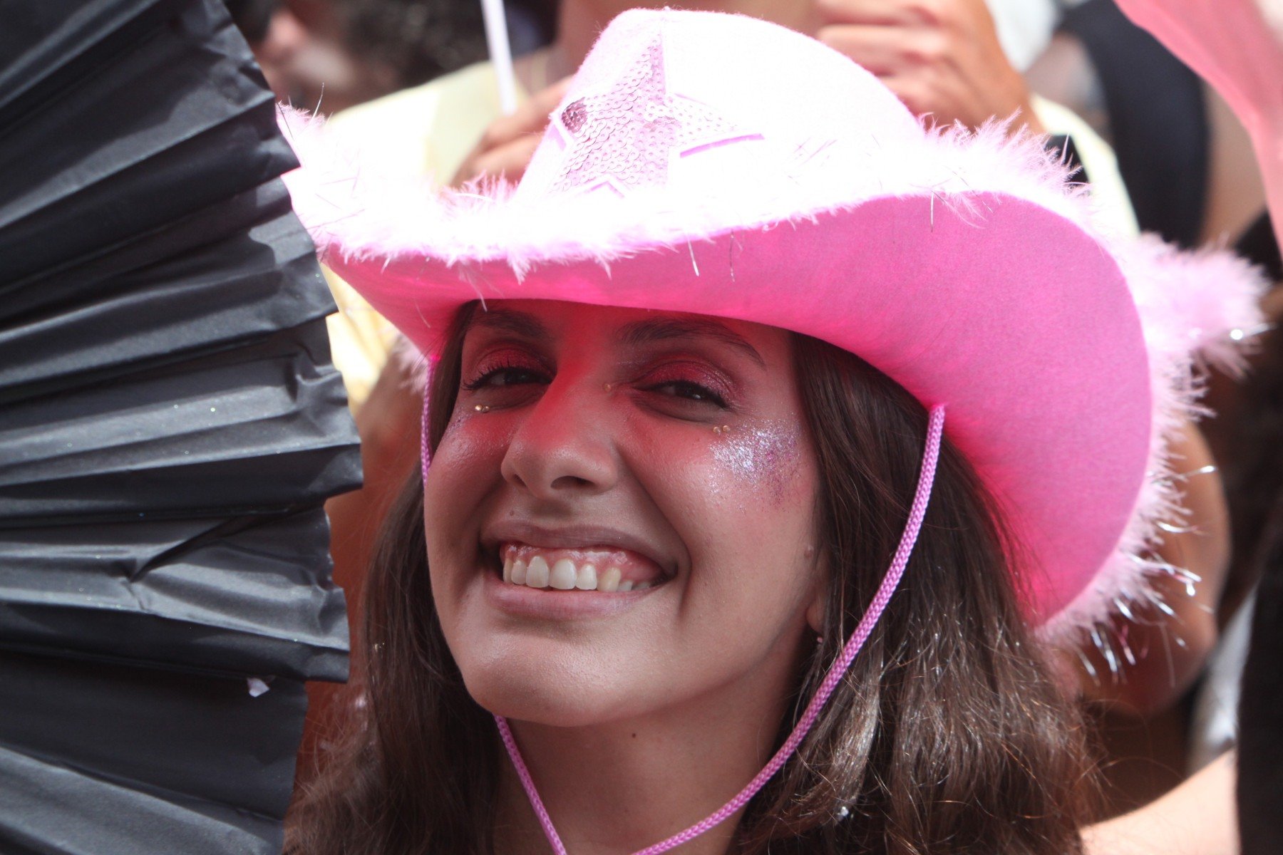 Bloco Mama na Vaca nas ruas do Bairro Santo Ant&ocirc;nio, em BH
      -Ed&eacute;sio Ferreira/EM/D.A Press