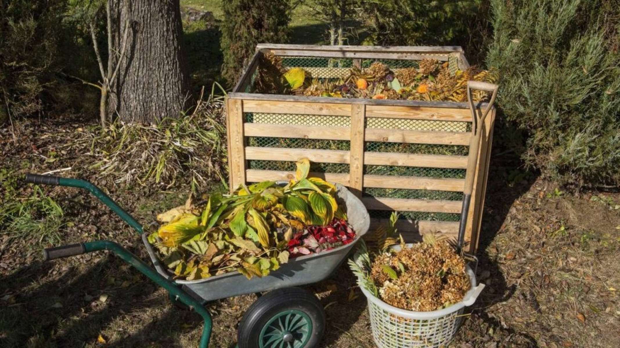 Compostagem e seus benefícios: uma prática simples para cuidar do meio ambiente - Portal Giro 10