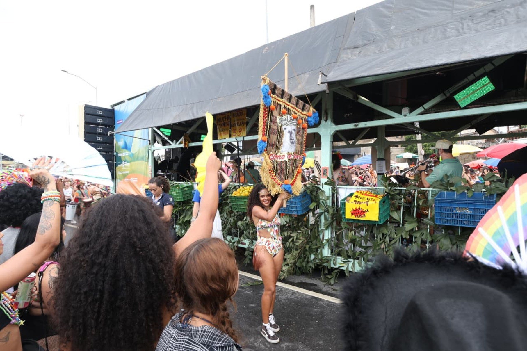 Neste ano, o tema do bloco foi: 'Cumbia Brasilis, reantropofagia tropical' -Marcos Vieira/EM/D.A Press