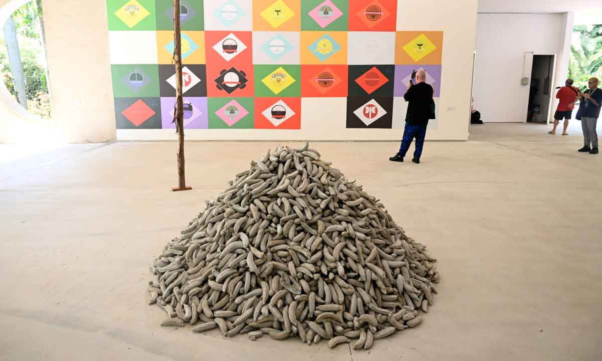 Foto de obras do artista Paulo Nazareth na Galeria Pra&ccedil;a de Inhotim