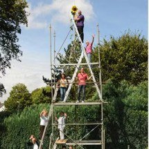 Pra quem não viu: Girassol ultrapassa 10 metros de altura e bate recorde - Divulgação Guinness