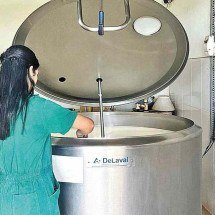 Estudo identifica os riscos do alto uso de remédios em animais - Fundecc/DIVULGAÇÃO