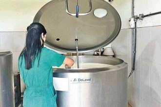 Estudo identifica os riscos do alto uso de remédios em animais