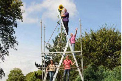 <p>Um girassol de 10,90 metros de altura foi reconhecido como o maior do mundo, batendo um recorde que durava dez anos</p>
 -  (crédito: Divulgação Guinness)