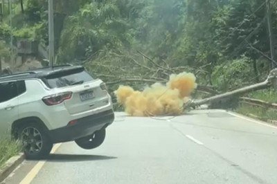 Árvore levou três postes de energia; um deles caiu sobre um veículo -  (crédito: Reprodução)