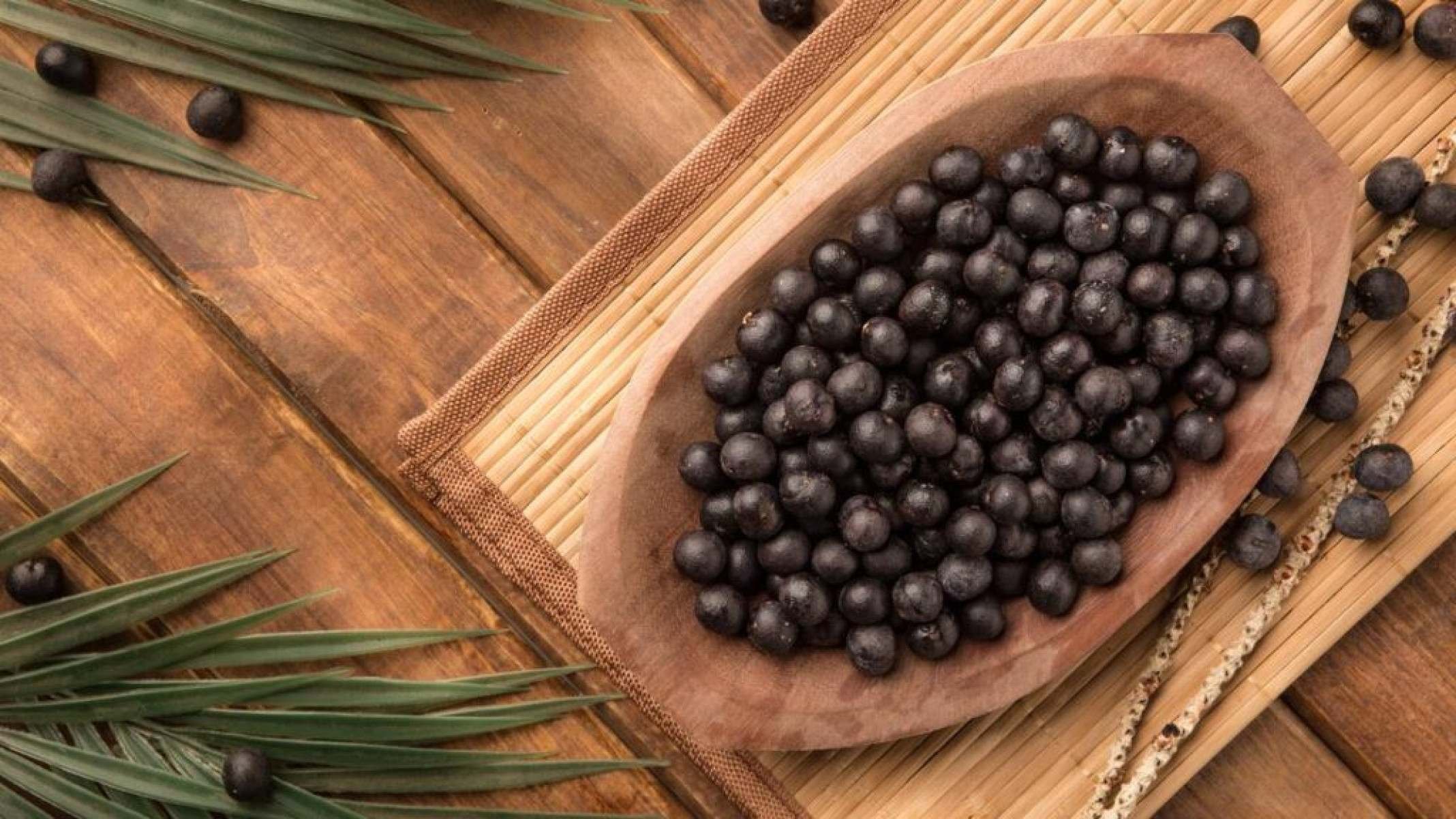 Biopirataria e soberania: como o Brasil protege o açaí e sua biodiversidade - Portal Giro 10