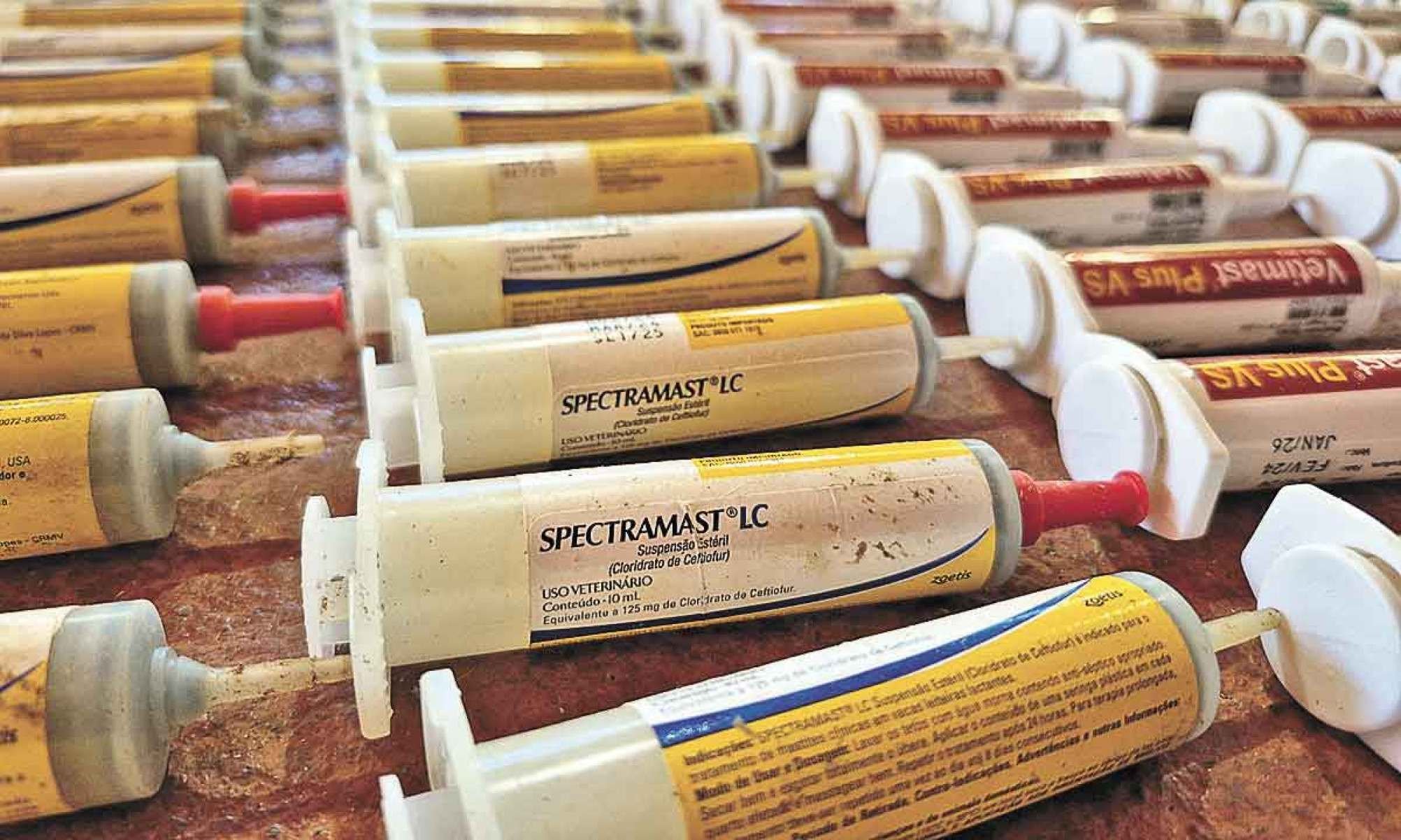 An&aacute;lise gen&eacute;tica a partir de amostras isoladas pode identificar a presen&ccedil;a da mesma bact&eacute;ria entre animais e a popula&ccedil;&atilde;o