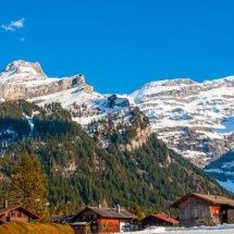 Após queda em fenda de geleira nos Alpes suíços, homem é resgatado graças ao próprio chihuahua - Freepik/wirestock