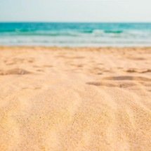 ‘Vídeo assustador’: homem interage com polvo mais mortal dos oceanos sem saber - Freepik/kbza 