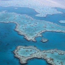 A Grande Barreira de Corais: como visitar e por que ela está em perigo - PxHere