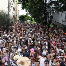 Do bloco ao banco: como proteger seu dinheiro digital no carnaval - Edesio Ferreira/EM/D.A Press