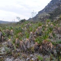 Serra do Espinhaço: professor da UFMG alerta para consequência da mineração