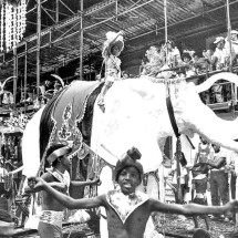 Mostra no Cine Santa Tereza destaca a relação entre música e carnaval - Arquivo EM