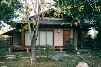 Sua árvore pode cair? Veja sinais de perigo e o que fazer no seu quintal