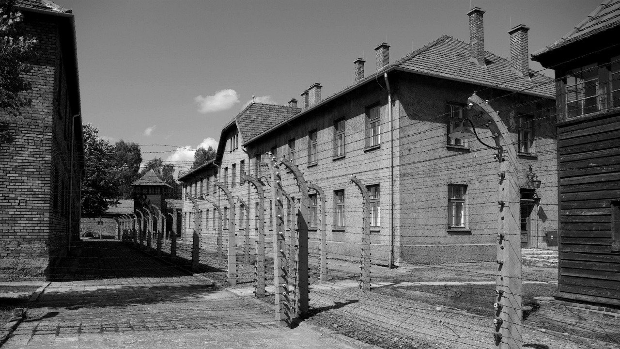 Como visitar Auschwitz: guia completo sobre o campo de concentração - PxHere