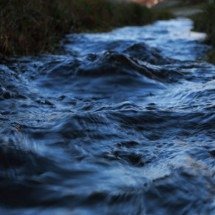 Helico?pteros jogam milhares de troncos em rios americanos; saiba o que os salmões têm a ver com isso - Pixabay/Csillagvirág