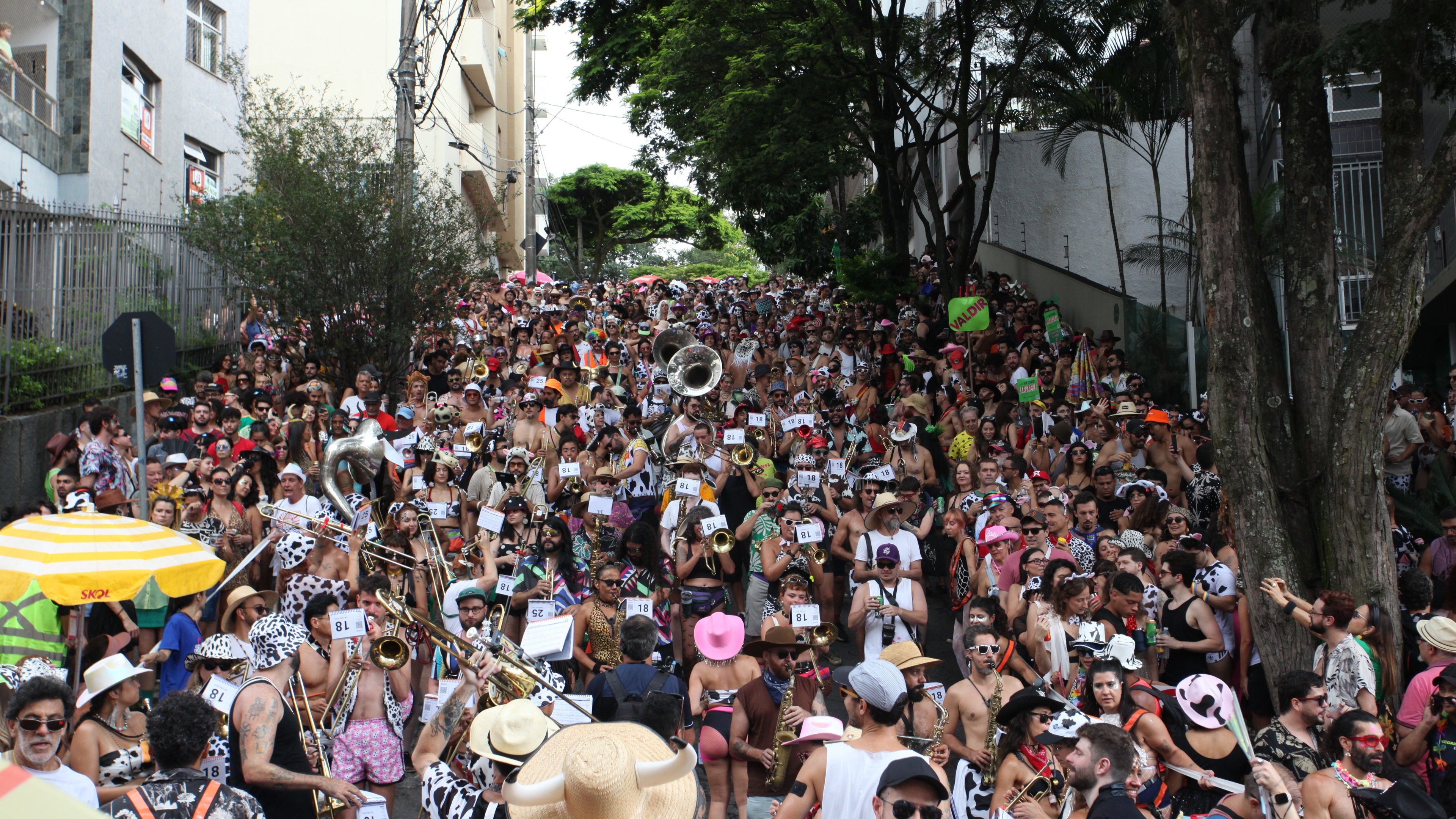 Em meio &agrave; vibrante folia do Carnaval, a seguran&ccedil;a dos pertences &eacute; necess&aacute;ria para que os foli&otilde;es aproveitem a festa sem preocupa&ccedil;&otilde;es. -  (crédito: Edesio Ferreira/EM/D.A Press)