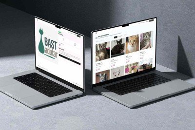 Plataforma digital conecta ONGs, doadores e apoiadores, ampliando a sustentabilidade de projetos de proteção pet em todo o país
 -  (crédito: Divulgação)