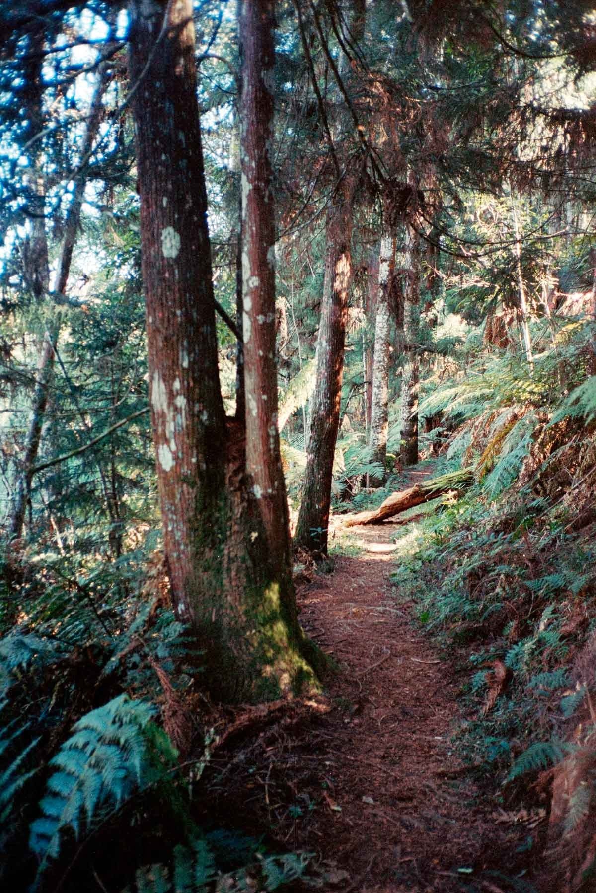 Trilhas seguras e de f&aacute;cil acesso para pessoas de qualquer idade  permitem que fam&iacute;lias inteiras se divirtam sem esfor&ccedil;o e preocupa&ccedil;&atilde;o