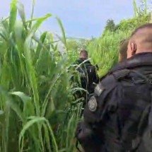 Adolescente passa por 'tribunal do tráfico' e sofre estupro coletivo no RJ - Reprodução/PCERJ