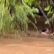 Vídeo: mulher é arrastada por correnteza durante enchente em Itajubá - Reprodução