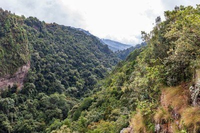 <p>A Natureza tem tanta diversidade animal que, além de belos espécimes, também existem seres com  aparência pavorosa. Veja alguns dos animais mais feios do planeta.</p>
 -  (crédito: wikimedia commons Dietmar Rabich)