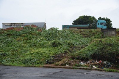 &Aacute;rea onde o corpo de Vanessa Lara de Oliveira, de 23 anos, foi encontrado nessa ter&ccedil;a-feira (10/2) -  (crédito: Gladyston Rodrigues/E.M./D.A .Press)