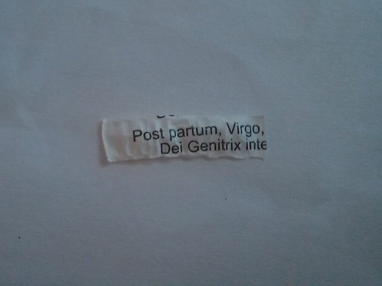 Saiba o que são as pílulas de Frei Galvão, o primeiro santo brasileiro - Portal Giro 10