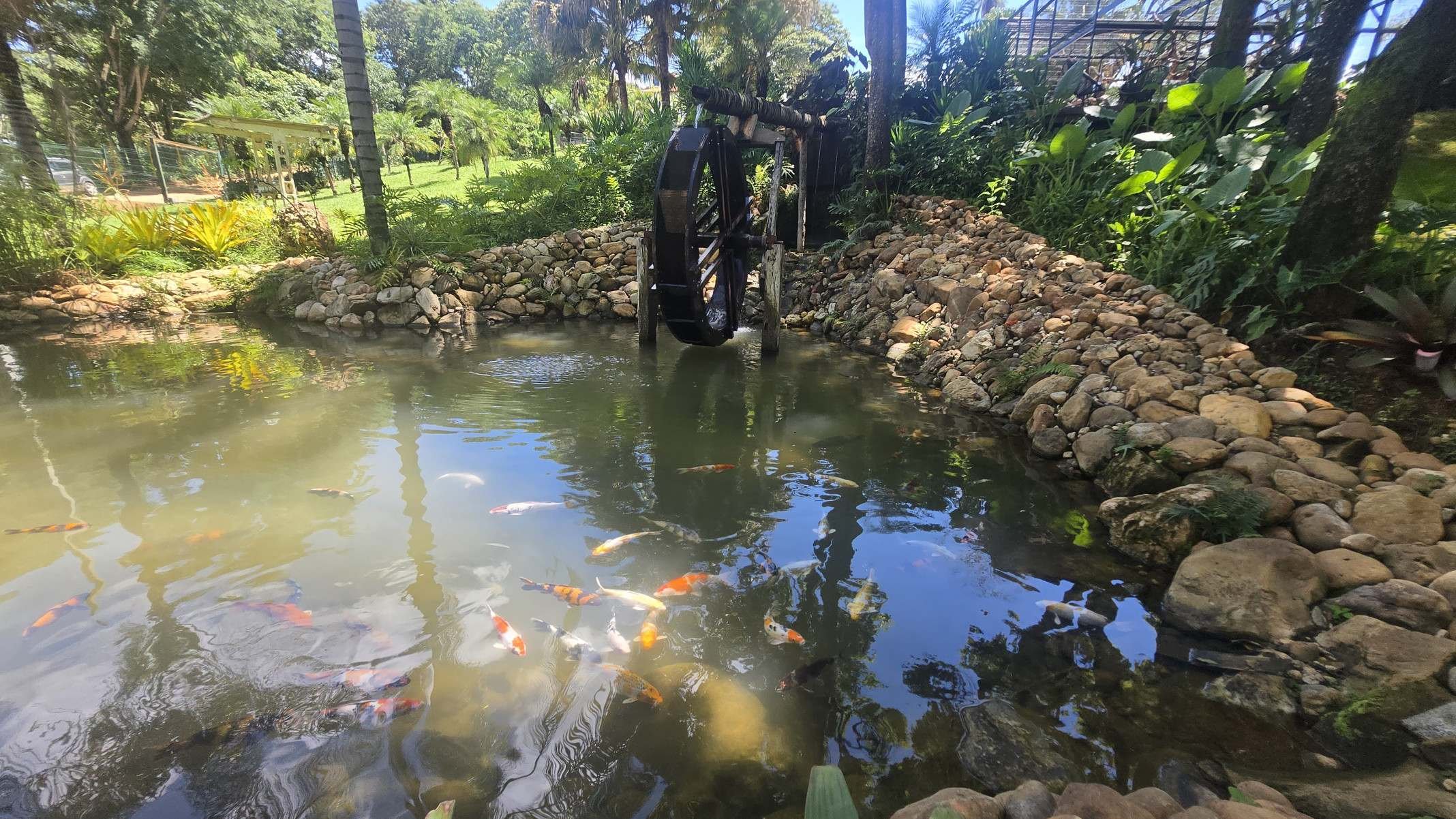 Encante-se com o mini-lago de &aacute;guas tranquilas, onde coloridas carpas nadam graciosamente 
