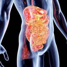 Doença de Crohn ou retocolite? O detalhe que muda o diagnóstico - Antônio Augusto - Flickr