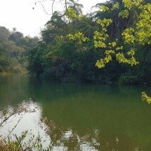 O segredo esmeralda: um santuário onde o asfalto cede lugar à paz - Carlos Altman/EM