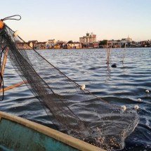 Pesca no Brasil: governo cancela registros e reorganiza setor - MPA/Divulga&ccedil;&atilde;o