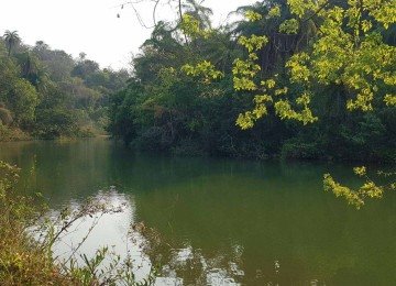 Po&ccedil;o de &aacute;guas verdes fica a 8km da Lagoa Central, em Lagoa Santa -  (crédito: Carlos Altman/EM)