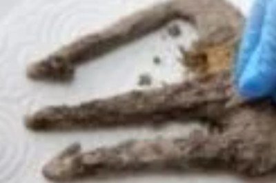 <p>Uma peça histórica, datada do século III ou IV, foi encontrada recentemente na antiga cidade de Assos, na Turquia. Trata-se de um tridente de ferro. Ele estava oxidado e coberto por solo, e foi encontrado por uma equipe de arqueólogos da Universidade Canakkale Onsekiz Mart. </p>
 -  (crédito: Reprodução twitter)