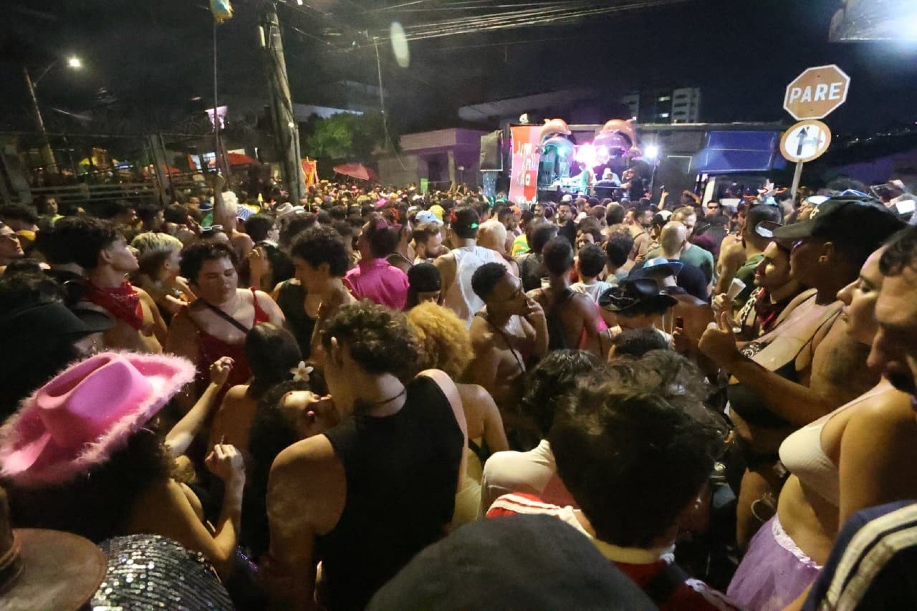 Bloco é inspirado na figura encantada do boto cor-de-rosa e nas tradições das festas amazônicas