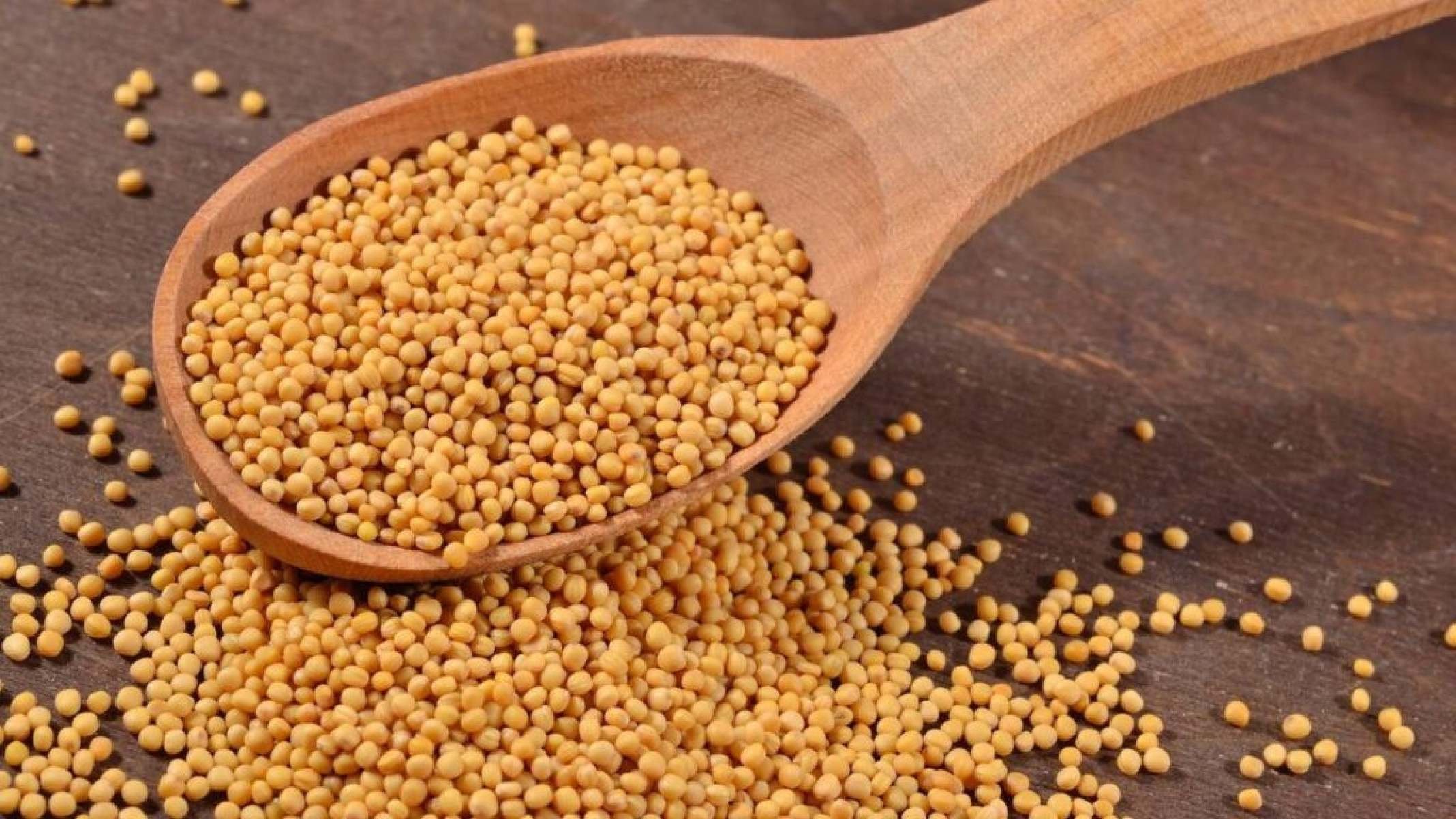 Gorduras saturadas x insaturadas: entenda a diferença e os efeitos na saúde - Portal Giro 10