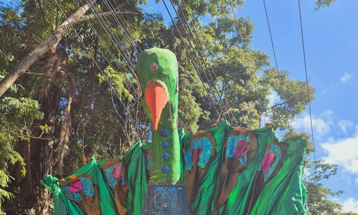 Foliões se preparam para o bloco Pena de Pavão de Krishna-Jair Amaral/EM/D.A. Press